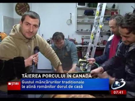 Românii i-au şocat pe canadieni, cu tradiţia tăierii porcului de Crăciun