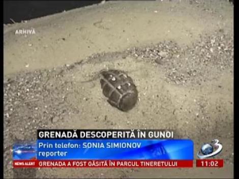 O grenadă defensivă a fost găsită într-o pubelă din Parcul Tineretului
