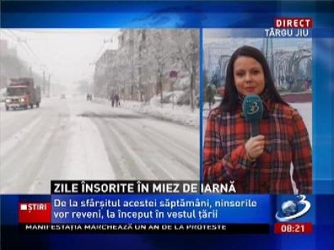 Zile însorite în miez de iarnă. Vremea se încălzeşte