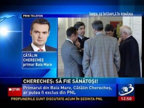 Cătălin Cherecheş: Mă interesează să fiu un excelent primar, nu un obedient om de partid