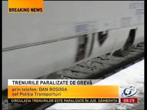 Şeful Poliţiei Transporturi, despre protestul spontan de la CFR