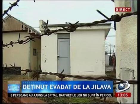Deţinut evadat din Penitenciarul Jilava