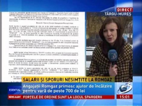 Salarii şi sporuri nesimţite la Romgaz