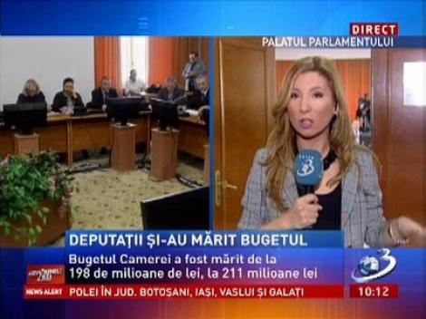 Bugetul Camerei Deputaţilor a fost mărit în urma voturilor din comisie