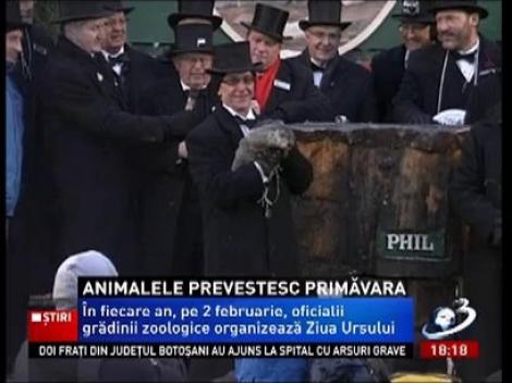 Animalele prevestesc primăvara