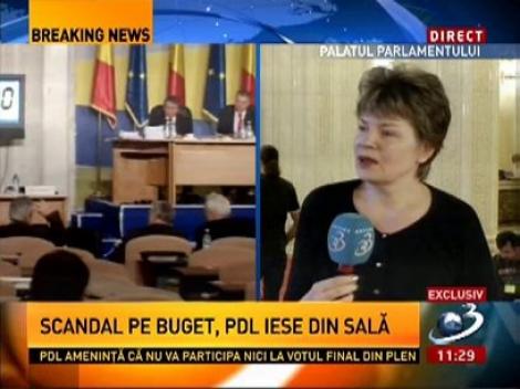 Mona Pivniceru, despre bugetul pentru Ministerul Justiţiei