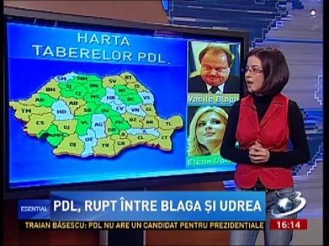 Vezi aici care sunt taberele în PDL