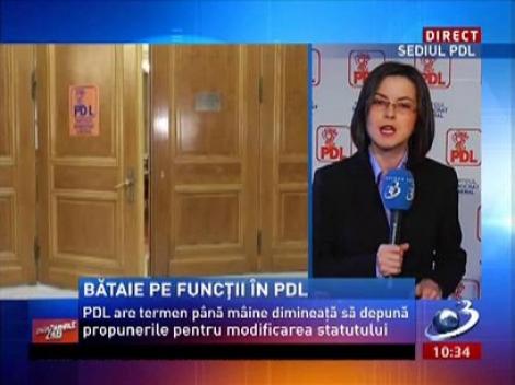 Bătaie pe funcții în PDL. Monica Macovei ar putea candida la șefia partidului