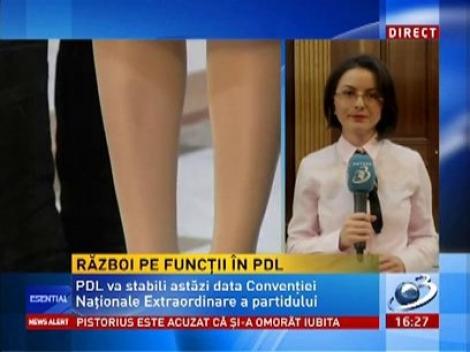 Război pe funcții în PDL între Blaga și Udrea