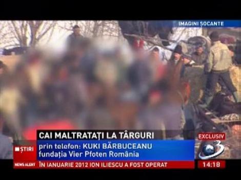 Imagini șocante! Zeci de cai sunt maltratați la târgurile din Neamț