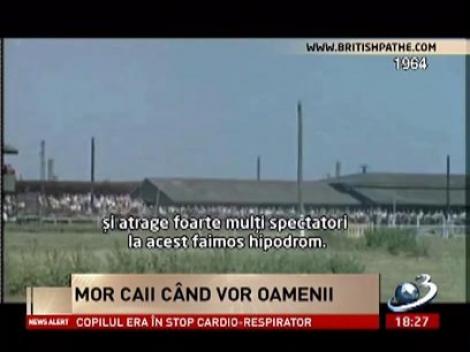 Imagini cu Hipodromul din Ploieşti, din anul 1964