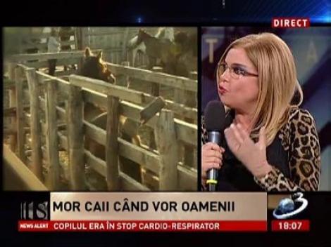 Cristina Ţopescu, despre cazul cailor de la Letea