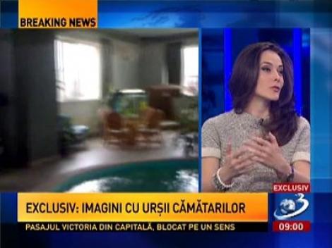 Imagini în exclusivitate cu ferma Cămătarilor! Leii există!