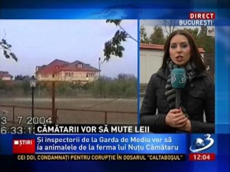 Cămătarii vor să îşi mute animale şi au anunţat deja autorităţile