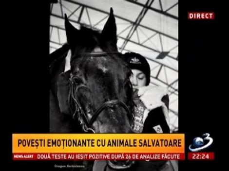 Sinteza Zilei: Anne-Marie Bontea, fetiţa de 11 ani, câştigătoarea a 11 premii de călărie