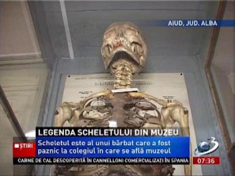 Un schelet uman expus la Muzeul de Ştiinţe Naturale din Aiud a devenit legendă. Ascultă aici povestea lui!
