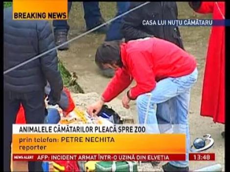 Animalele Cămătarilor au plecat spre grădina zoologică