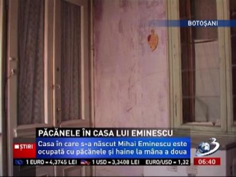 În casa în care s-a născut Mihai Eminescu se află un magazin cu haine second şi păcănele