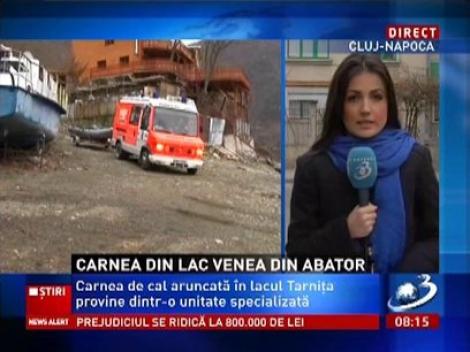 Carnea de cal aruncată în lacul Tarniţa provine dintr-o unitate specializată în procesare