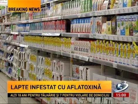 Lapte infestat cu aflatoxină, o substanţă cancerigenă extrem de periculoasă
