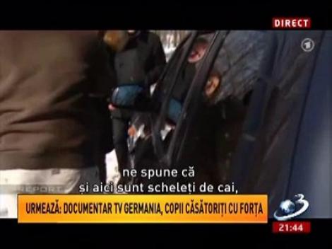 Sinteza Zilei: Anchetă şocantă făcută de germani! Pe urmele mafiei cărnii de cal din România