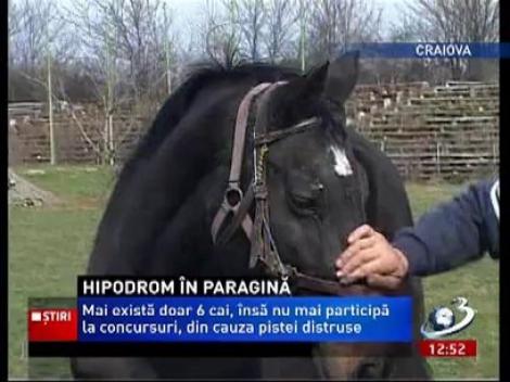 Hipodromul din Craiova, în paragină