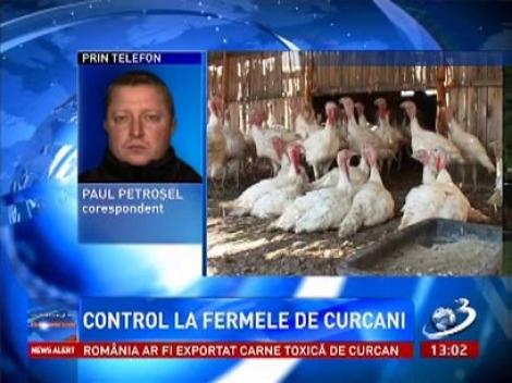 Fermele de curcani, verificate de inspectorii sanitar veterinari