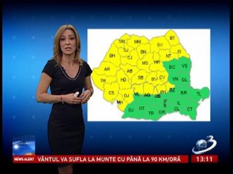 Cod galben de ninsori şi vânt