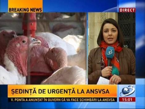 Şeful ANSVSA, Mihai Ţurcanu, a demisionat