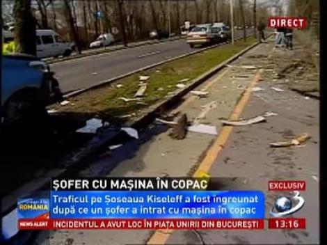 Accident spectaculos în Capitală! O mașină a retezat un copac