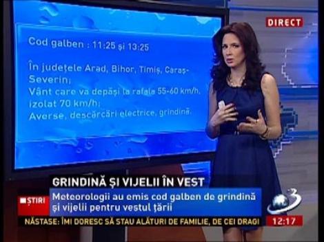 Cod Galben de grindină și vijelii în vestul țării