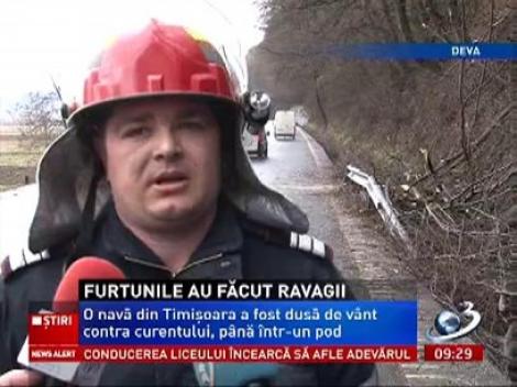 Viscol puternic a făcut ravagii în vestul ţării