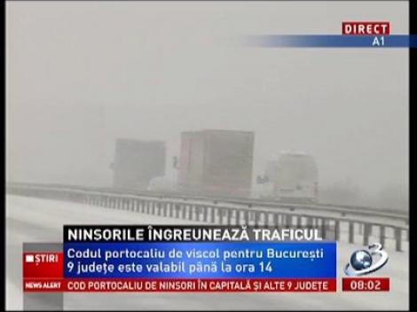 Iarna lovește din nou! Pe autostrada București-Pitești se circulă cu dificultate