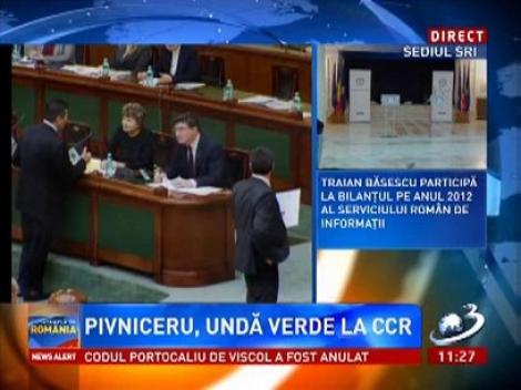 Mona Pivniceru, aviz favorabil pentru Curtea Constituțională