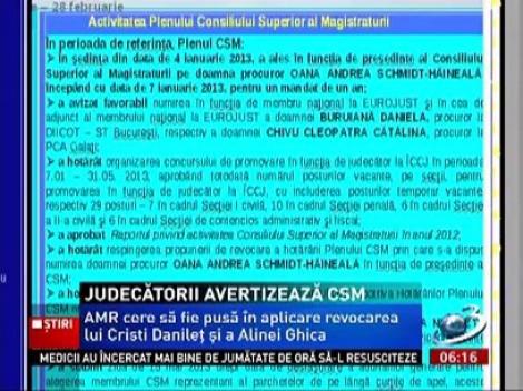 AMR cere să fie pusă în aplicare revocarea lui Cristi Danileț și a Aline Ghica