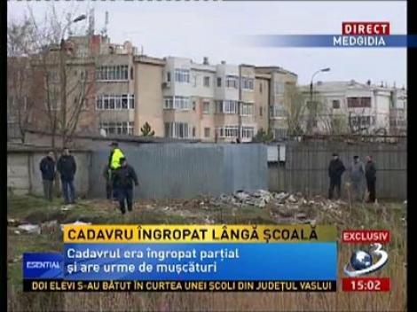 Medgidia.  Descoperire macabră lângă școală! Un cadavru îngropat parțial și cu urme de mușcături