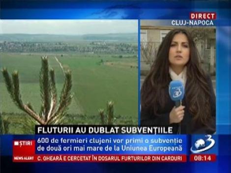 600 de fermieri clujeni primesc de anul acesta o subvenţie de două ori mai mare de la UE pentru că pe terenurilelor trăiesc fluturi unici în lume