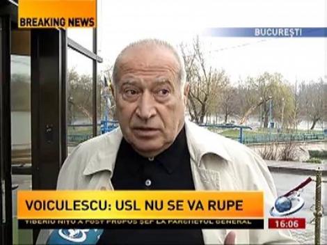 Dan Voiculescu: USL nu se va rupe