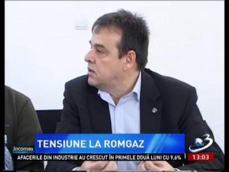 Income Magazine: Angajaţii Romgaz Mediaş au intrat în grevă japoneză