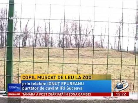 O fată  a fost mușcată de leu la grădina zoologică din Rădăuți.