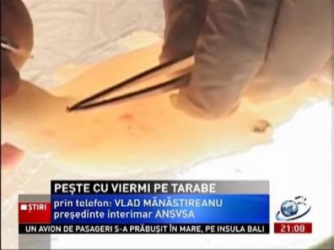 Peşte infestat cu viermi în pieţele din Capitală