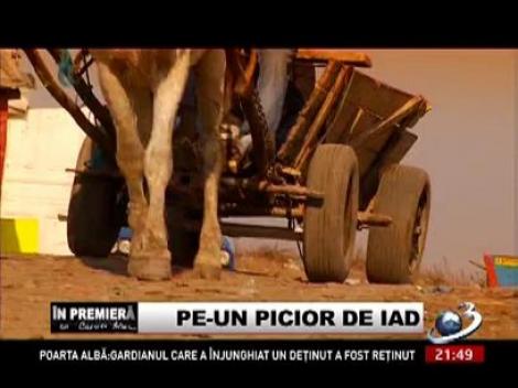 "Pe-un picior de iad", reportajul marca "În premieră", premiat la festivalul din Las Vegas