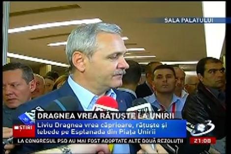 Liviu Dragnea vrea căprioare, răţuşte şi lebede la Piaţa Unirii