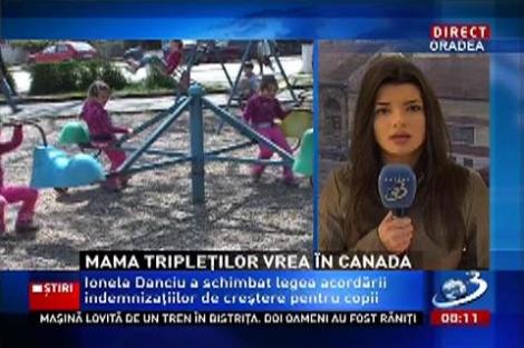 Ionela Danciu, mama tripletor din Aiud care a schimbat legea privind indemnizaţia de creştere pentru copii vrea să plece în Canada