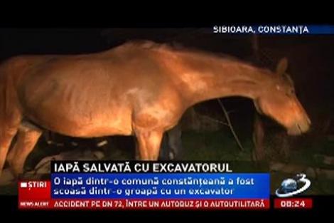 Desfăşurare de forţe impresionată pentru salvarea unei iepe