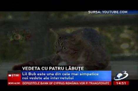 Lil Bub, cea mai simpatică pisicuţă!
