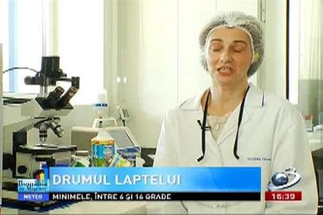 România în Mişcare: Drumul laptelui