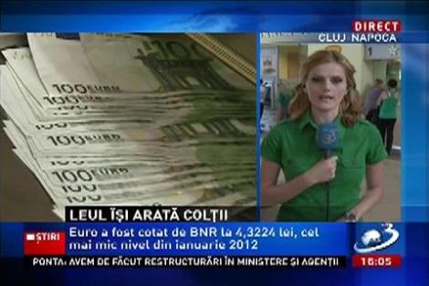 Curs valutar 29/04/2013