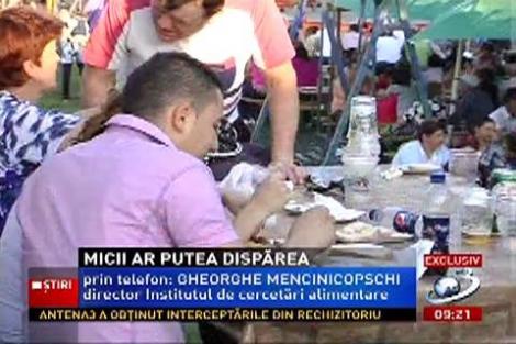 Gheorghe Mencinicopschi explică de ce sunt periculoşi micii