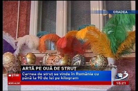 Artă pe ouă de struţ